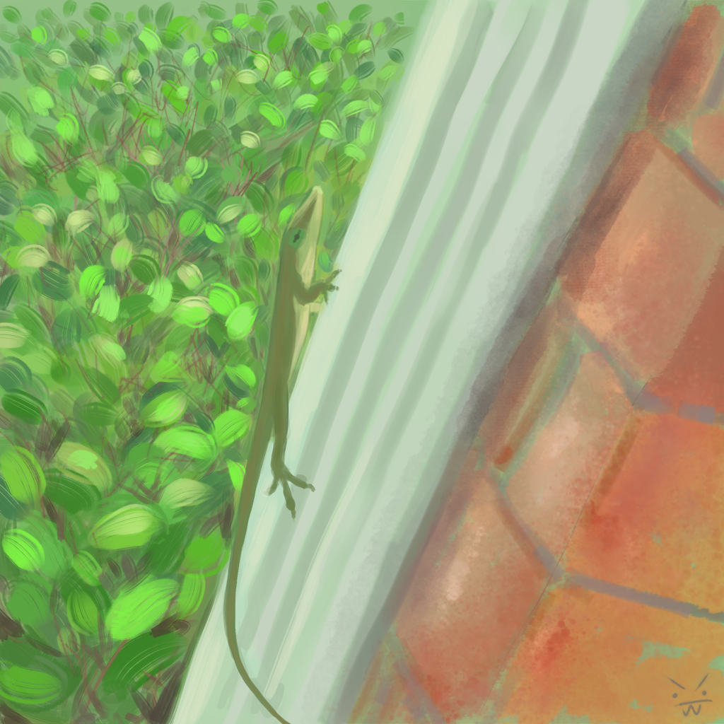 Mr. Anole